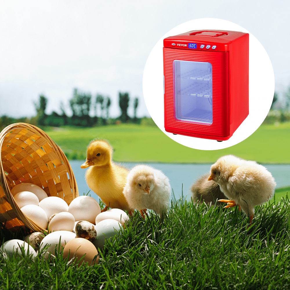 VEVOR Incubadora de Reptiles Roja 25L Incubadora de Laboratorio Científico Incubadora Digital Enfriamiento y Calefacción 5-60 °C Incubadora de Huevos de Reptil 12V/110V Trabajo para Reptiles Pequeños