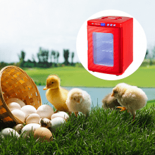 VEVOR Incubadora de Huevos Automática de Aves 25 L Incubadora de Reptiles Rojo