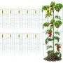 Jaulas para tomates VEVOR, 30 x 30 x 117 cm, 10 unidades, cuadradas, para soporte de plantas, de acero recubierto de PVC verde, para hortalizas trepadoras, plantas, flores y frutas.
