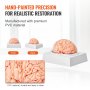 Modelo de cerebro humano VEVOR, escala 1:1, 9 piezas, con etiquetas y base de exhibición. Modelo de cerebro desmontable para investigación científica, enseñanza, aprendizaje, aula, estudio y exhibición.