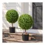 61 cm-Ball Shape