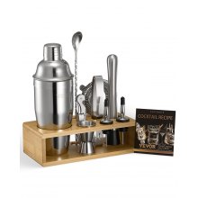 Juego de coctelera de 10 piezas, kit de barman, juego de herramientas de barra de acero inoxidable, color plateado