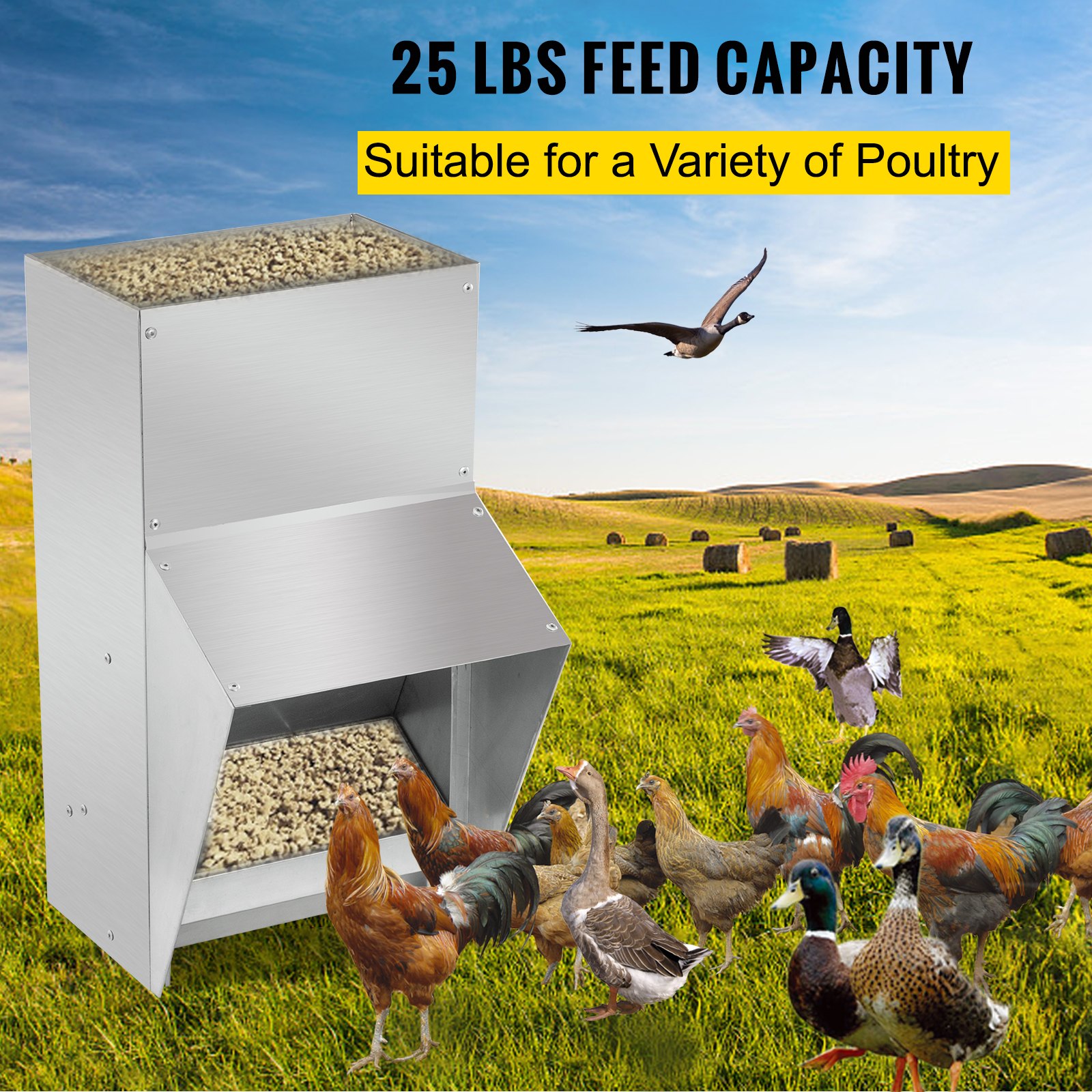 Comedero para aves galvanizado VEVOR en un campo con varias aves, capacidad de alimento de 25 libras.