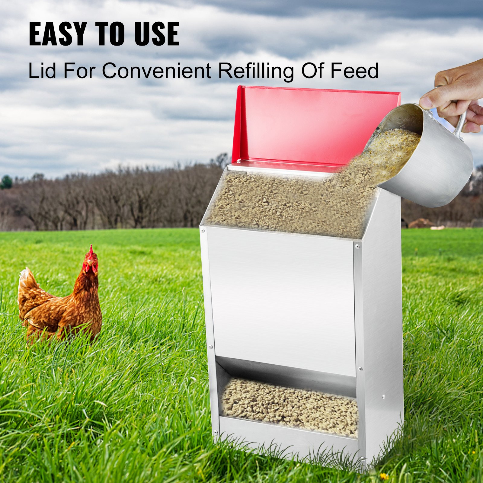 Verter el alimento en el comedero para aves de corral galvanizado VEVOR, pollo sobre la hierba, fácil rellenado.