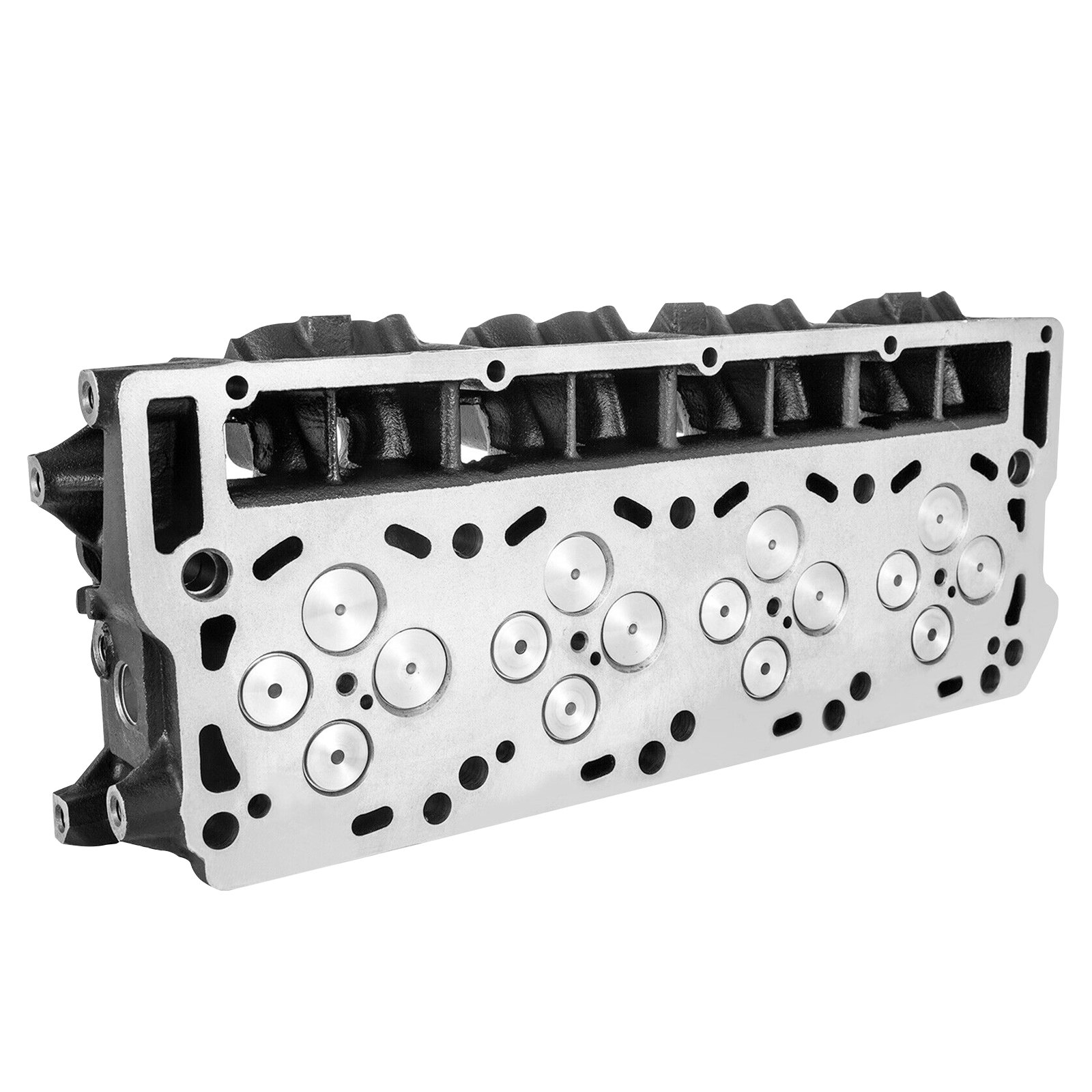 VEVOR Cylinder Head Assembled, Engine Cylinder Head Assembly Replacement 6.4L, Cast Iron Cylinder Head Fit for 08-10 Ford F250 F350 F450 F550