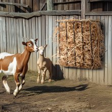 Comedero para ganado VEVOR de 24 galones con rejilla para heno de cabra para caballos montada en la pared