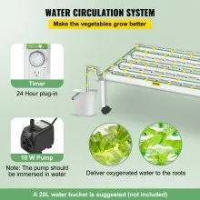 Sistema de cultivo hidropónico VEVOR, 54 sitios, 6 tubos de PVC-U de grado alimenticio, kit de plantación interior de 1 capa con bomba de agua, temporizador, cesta nido, esponja para frutas, verduras, hierbas, blanco