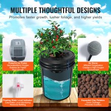 Sistema hidropónico VEVOR DWC, 5 galones, 8 cubos, cubo de cultivo de agua profunda, kit de cultivo hidropónico con bomba, piedra de aire y dispositivo de nivel de agua, para verduras de hoja interior/exterior