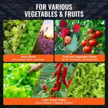 Sistema hidropónico VEVOR DWC, 5 galones, 8 cubos, cubo de cultivo de agua profunda, kit de cultivo hidropónico con bomba, piedra de aire y dispositivo de nivel de agua, para verduras de hoja interior/exterior