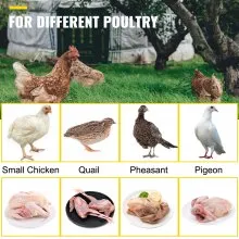 VEVOR - Accesorio para taladro desplumador de pollos, desplumador de pollos de acero inoxidable, máquina desplumadora de plumas de pollo de 18 dedos, máquina desplumadora de aves de corral con vástago de 0,4 pulgadas para paloma de codorniz de pollo pequeño
