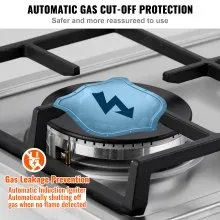 VEVOR Estufa de gas de 12 pulgadas, Max 12250BTU 2 quemadores integrados de acero inoxidable, estufa de gas LPG/NG convertible de doble combustible natural con protección termopar