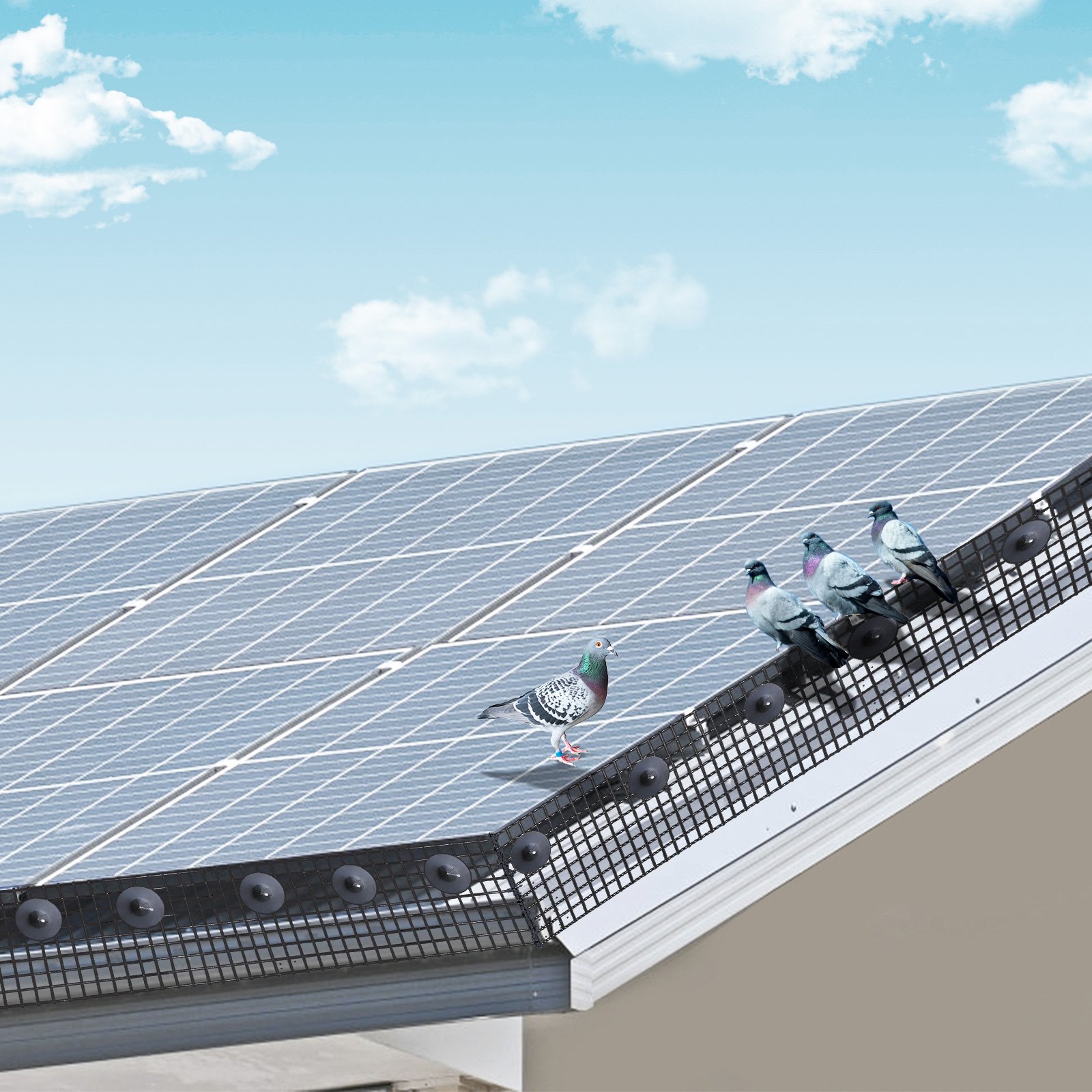 Palomas en un panel solar en el tejado con una malla de protección contra pájaros con paneles solares VEVOR instalada alrededor de los bordes.