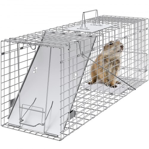 VEVOR Trampa para jaula de animales vivos, 31 x 10 x 12 pulgadas, trampa humana para gatos de hierro galvanizado, trampa plegable para animales con mango para conejos, gatos callejeros, ardillas, mapaches, marmotas y zarigüeyas