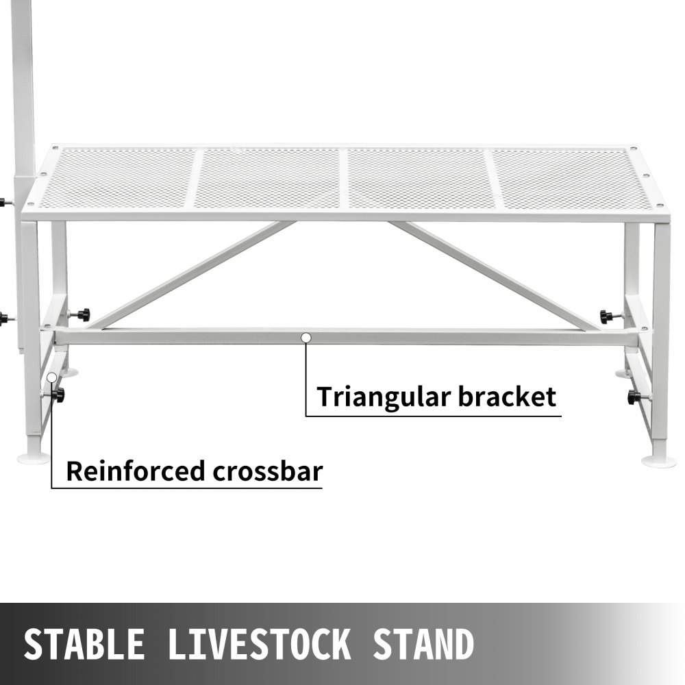 VEVOR - Soporte para ganado (51 x 23 pulgadas), con cabezal recto, para esquilar cabras y ovejas, con estructura metálica.