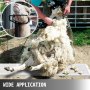 Soporte para ganado VEVOR de 51 x 23 pulgadas, soporte para recorte con pieza de cabeza recta, soporte para recorte de cabra, marco de metal, soporte para esquila de ovejas, soporte para recorte de ganado