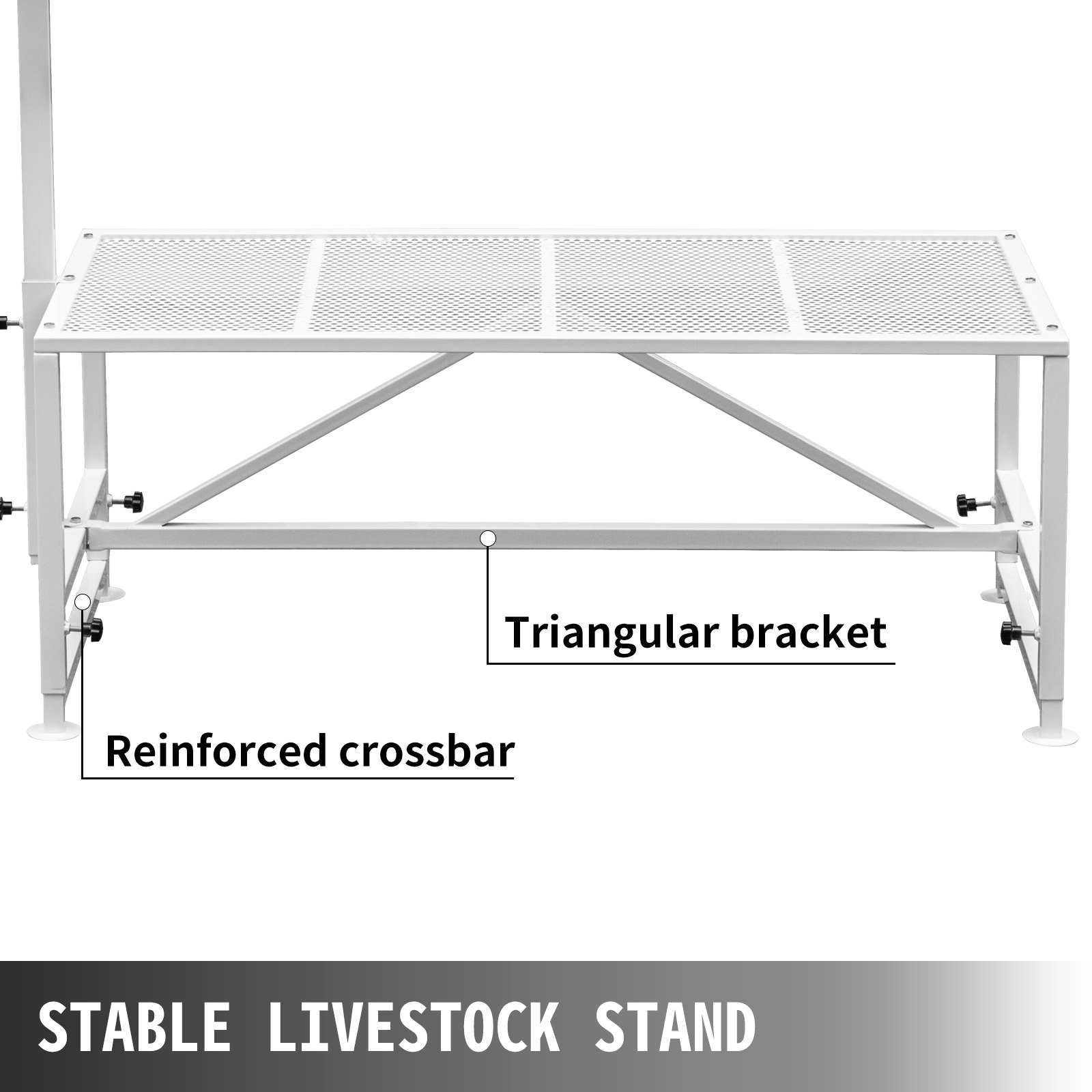 VEVOR - Soporte para ganado (51 x 23 pulgadas), con cabezal recto, para esquilar cabras y ovejas, con estructura metálica.