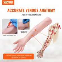 Kit de práctica de flebotomía VEVOR, kit de entrenamiento intravenoso de venopunción intravenosa, kit de brazo de práctica intravenosa de alta simulación con bolsa de transporte, práctica y perfeccionamiento de habilidades intravenosas, para estudiantes, enfermeras y profesionales