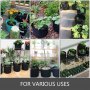 VEVOR - Bolsa de cultivo de plantas de 100 galones, 6 unidades, macetas de tela de aireación con asas, bolsa de cultivo negra, contenedor de plantas para plantación de jardín, lavable y reutilizable