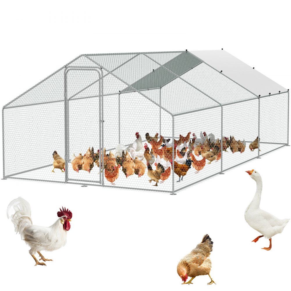 VEVOR chicken coop with multiple chickens, rooster, and goose, showcasing spacious metal enclosure.