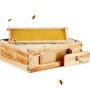 VEVOR beehive kit with bees buzzing around a wooden hive box and honeycomb frame.