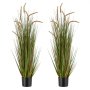 2 Pcs-119.4 cm-Horsetail Grass