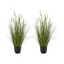 2 Pcs-88.9 cm-Reeds