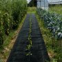 VEVOR Onkruidbestrijdingsdoek, 5,8 oz tuinvlies, 0,9 x 91,4 m afdekmat, zwaar geweven onkruidbestrijdingsgeotextiel, onkruidwerende onkruidfolie voor tuin en terras, zwart