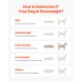 VEVOR Hondenloopband voor middelgrote honden, 100 kg, Hondenuitlaatapparaat met verstelbare hellingen, Hondenloopband voor honden, Trainingsapparaat voor huisdieren met loopband voor binnen- en buitentraining, 190 x 56 x 143 cm