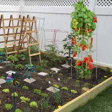 VEVOR Tomatenkooien, 30 x 30 x 117 cm, set van 5 vierkante plantensteunkooien, robuuste, zilveren PVC-gecoate stalen tomatentorens voor het beklimmen van groenten, planten, bloemen en fruit