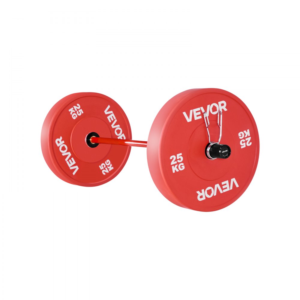 VEVOR 4FT Barbell Bar, Fits 2-Inch Weight Plates, Barbell Bar with Knurled Grip for Strength Training, Weightlifting, Squat, Deadlift, Bench Press, Curl, Overhead Press, 550lbs/226kg Capacity