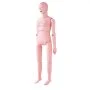 VEVOR Vrouwelijke Verpleegpop Multifunctionele Patiëntenzorgsimulator 1530 x 450 x 210 mm, Multifunctionele Trainingspop Verpleegkundige Trainingspop Uniforme Schaalvormen Pop