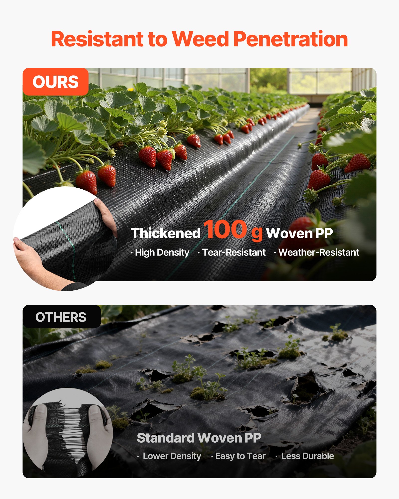 VEVOR Onkruidbestrijdingsdoek 2x50 m Tuinvlies 100 g/m², Onkruidmat op rol van polypropyleen, Onkruidbestrijdingsfolie met hoge ventilatie en drainage, Wortelbarrière tegen onkruid voor kassen en boerderijen, Zwart