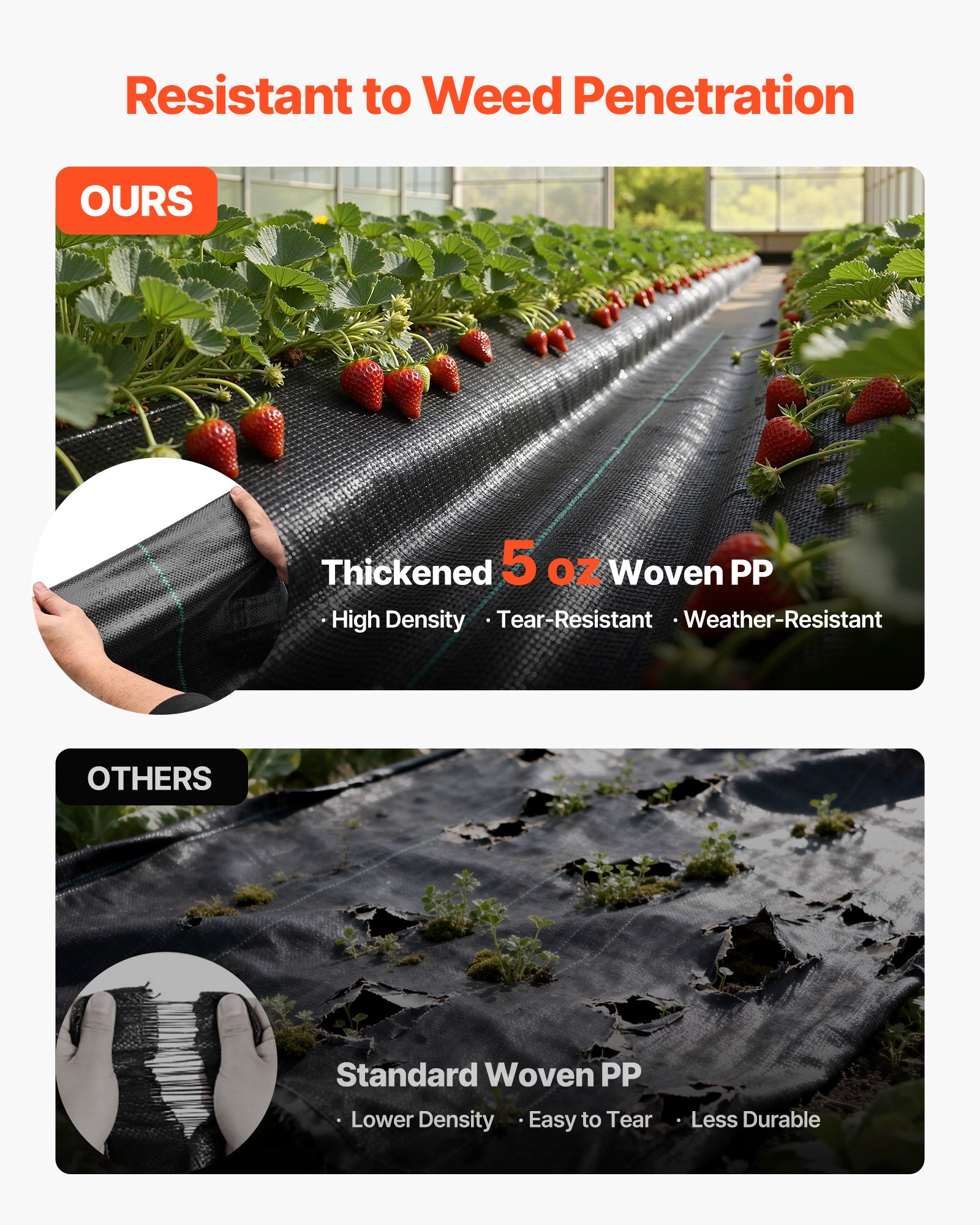 VEVOR Onkruidbestrijdingsdoek 1,8 x 76,2 m Tuinvlies 168 g/m², Polypropyleen Onkruidmat, Onkruidbarrière met hoge ventilatie en drainage, Wortelbarrière voor kassen, boerderijen en tuinen, Zwart