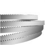 VEVOR Bone Saw Blade 1650 x 16 x 0.56 mm, Electric Bone Cutting Machine Saw Blade Compatible Models HC-210, HC-250, YF-400A HC-280, Hard Bones, Frozen Meat, Fish, etc.