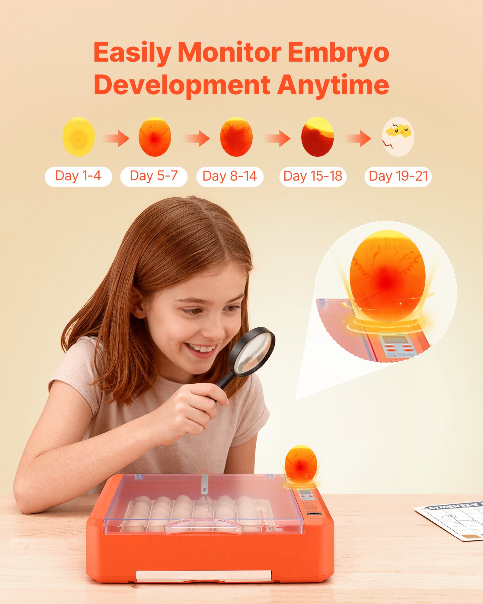 VEVOR Volautomatische broedmachine voor 36 eieren met eierkeerder, temperatuur- en vochtigheidsregeling, broedmachine voor het uitbroeden van kuikens, eenden, ganzen en kwartels.