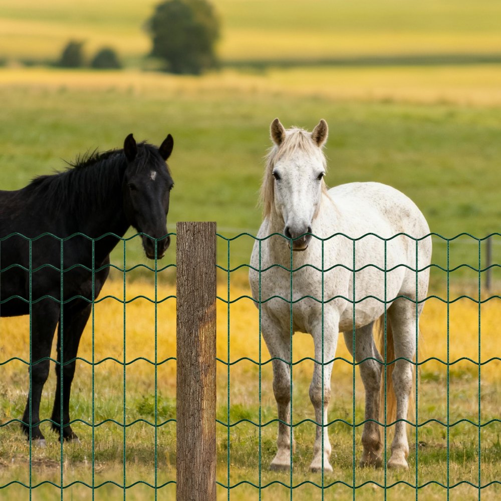 VEVOR tuinhek, 1 x 25 m, maaswijdte 5,08 x 10,16 cm, φ2,1 mm, gegalvaniseerd staaldraad, veehek geschikt voor runderen, varkens en schapen, vinylgecoate weideomheining voor dierenverblijven, kooien, groen