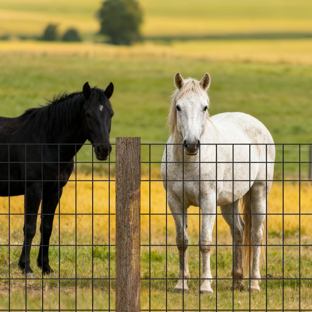 VEVOR Farm Fence,  122cm x 15.2m, 2 x 4 in Mesh 14 Gauge Galvanized Steel Wire Fencing for Cattle, Hog & Sheep , Heavy Duty Vinyl Coated Livestock Fence for Animal Enclosures, Cage Wire, Garden Fences