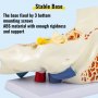 VEVOR Oor Anatomie 5 Keer Anatomiemodel Menselijk Oor Meerkleurig Menselijk Oor Anatomie met Verwijderbare Onderdelen Gebruikt als Onderwijs- of Onderzoeksinstrument voor Leraren, Biologen en Artsen
