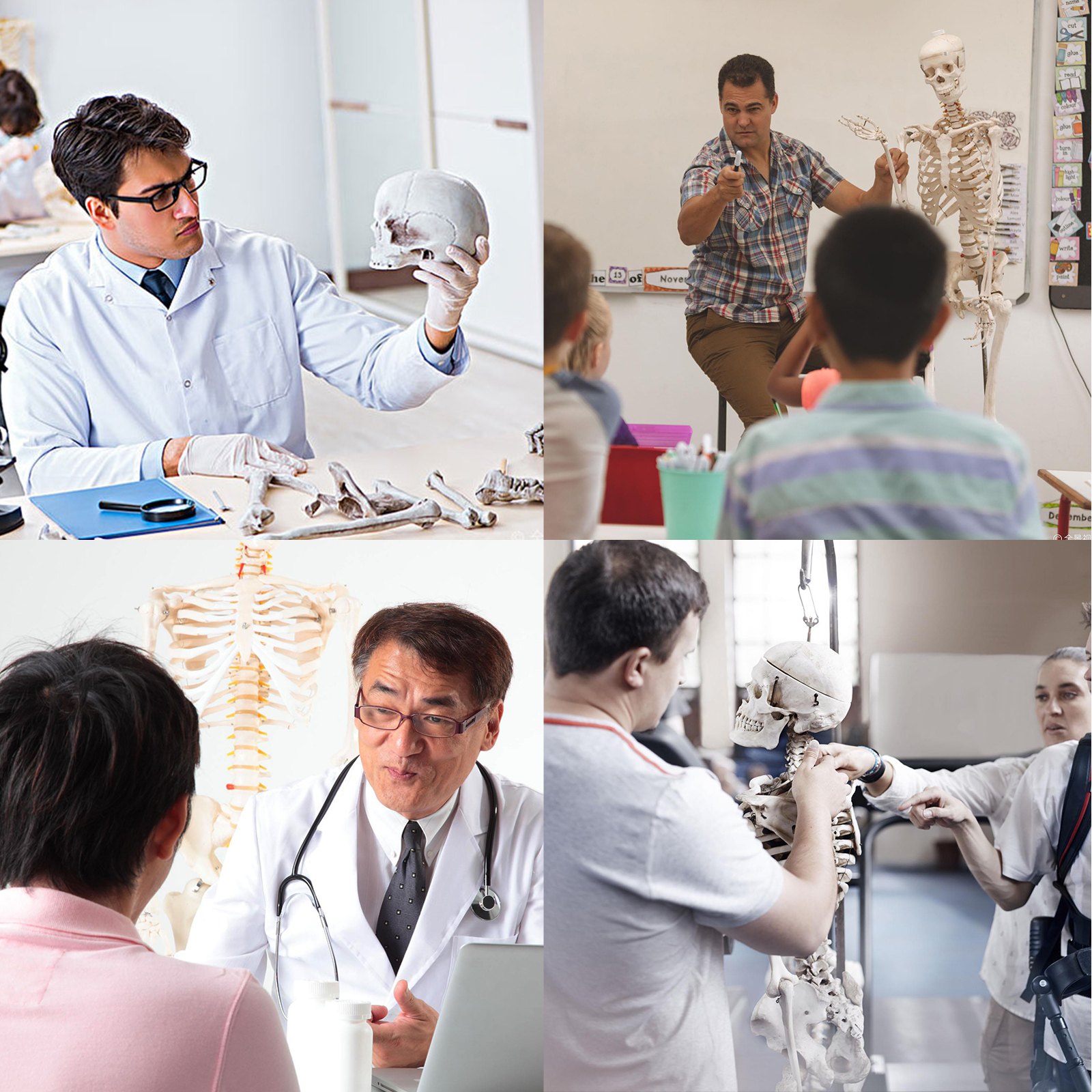 Vevor Disarticulated Skelet Menselijk Skelet Anatomie Skelet Levensgroot 1,57 M