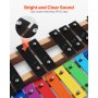 VEVOR Glockenspiel, 27-tonig, professioneel xylofoon-percussie-instrument, met SPCC-toetsen en kleurrijke metalen toetsen, inclusief 4 kloppers, draagtas, muziekinstrumentenset voor beginners