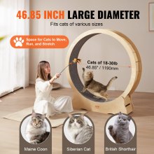 VEVOR Cat Exercise Wheel, Large Cat Treadmill Wheel for Indoor Cats, 52 inch Cat Running Wheel with Detachable Carpet and Cat Teaser for Running/Walking/Training, Suitable for Most Cats