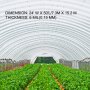 Happybuy Greenhouse Film 24 x 50 ft, Greenhouse Polyethylene Film 6 Mil Thickness, Greenhouse Plastic Greenhouse Clear Plastic Film, Polyethylene Film Keep Warming, Superior Strength Toughness