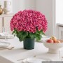 VEVOR 2-pack kunstbloemen in potten, 508 mm, nepgeraniums, dieproze, kunstbloemen in pot voor thuis, kantoor, café, gemaakt van zijde en PE-plastic, klaar voor gebruik, onderhoudsvrije kunstplant