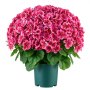 VEVOR 2-pack kunstbloemen in potten, 508 mm, nepgeraniums, dieproze, kunstbloemen in pot voor thuis, kantoor, café, gemaakt van zijde en PE-plastic, klaar voor gebruik, onderhoudsvrije kunstplant