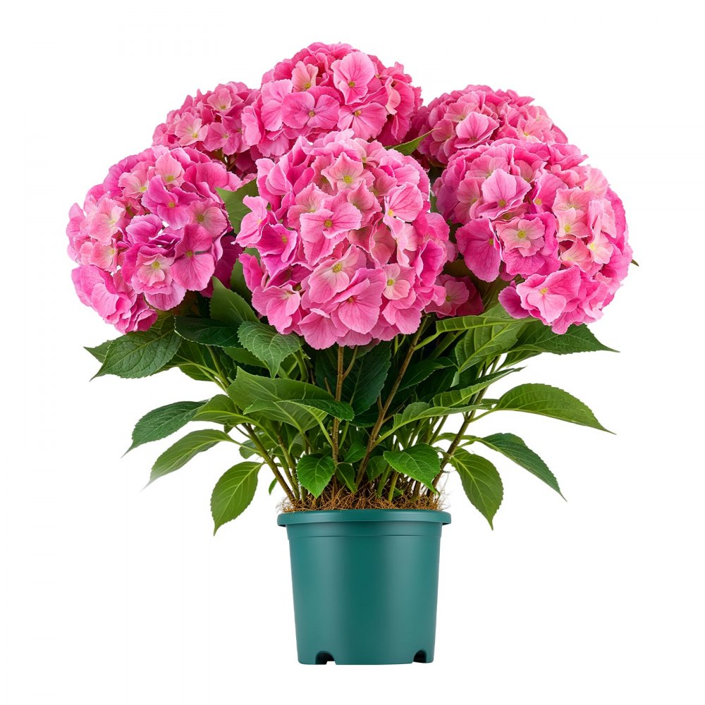 VEVOR 2-pack kunstbloemen in potten, 711 mm hoog, nep-hortensia's, roze, kunstmatige potbloemen voor binnen en buiten, gemaakt van zijde en PE-plastic, direct klaar voor gebruik, onderhoudsvrij