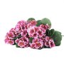 VEVOR Artificial Flowers Bulk Geraniums 24 PCS Faux Pink Flower with Stems, for Vase, Centerpieces, Weddings, Parties, Bouquets, Home Decor and DIY Arrangements, Realistic Fake Flowers, Easy to Care