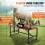 VEVOR goat & sheep stand with 51x23 in large tabletop, adjustable height, and 500 lbs weight capacity.