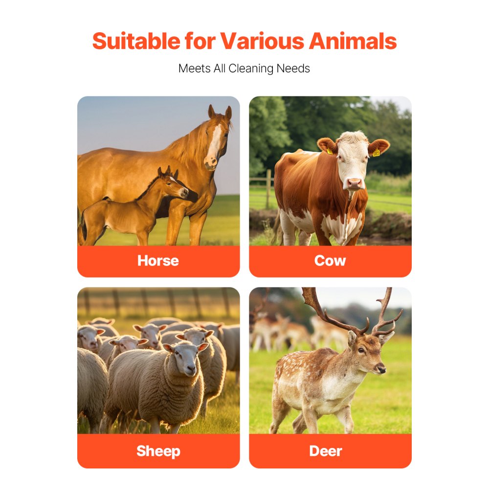 VEVOR Krabborstel voor Vee, Set van 6 Krabborstels voor Vee met 12 Schroeven, 43,5 x 19 x 10 cm Schrobborstel, voor het verlichten van jeuk en voor continue reiniging, verzorging en als krabpaal voor paarden, varkens en vee