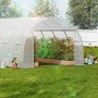 VEVOR Walk-In Tunnelkas, 6,8 x 2,8 x 2,0 m, Polytunnelkas, Plantenkas met gegalvaniseerd stalen frame, witte PE-afdekking, oprolbare ritssluiting en 12 ramen voor buitengebruik