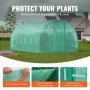 VEVOR Walk-in Tunnel Greenhouse, 19.4x9.7x7.4 ft Hoop House Greenhouse Tunnel, Plant Hot House with Galvanized Steel Frame, Green PE Cover, Swing Door and 12 Roll-up Windows for Outdoor